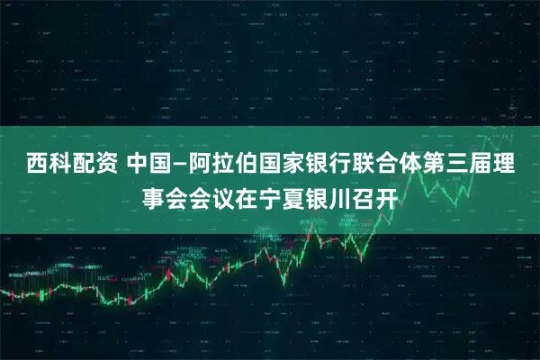 西科配资 中国—阿拉伯国家银行联合体第三届理事会会议在宁夏银川召开