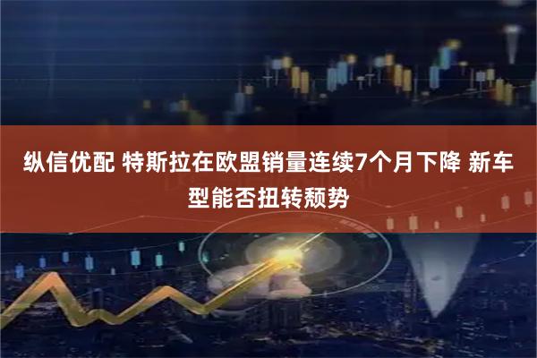 纵信优配 特斯拉在欧盟销量连续7个月下降 新车型能否扭转颓势