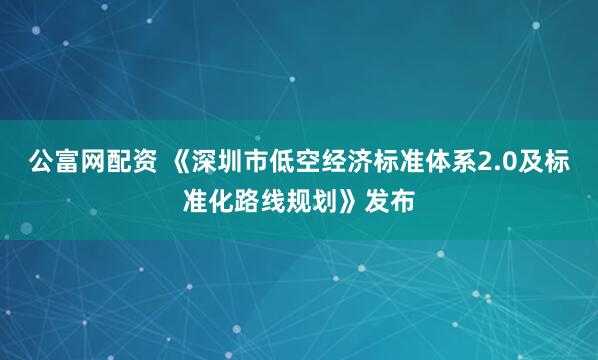公富网配资 《深圳市低空经济标准体系2.0及标准化路线规划》发布